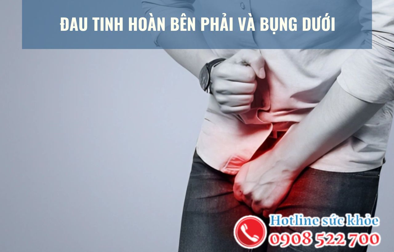 Đau tinh hoàn bên phải và bụng dưới có nguy hiểm không?