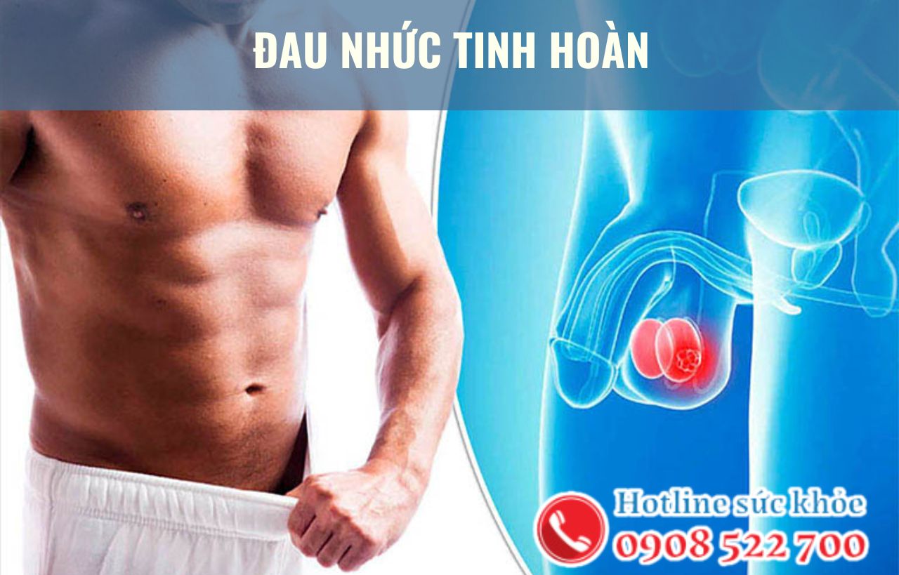 Đau nhức tinh hoàn có đáng lo?