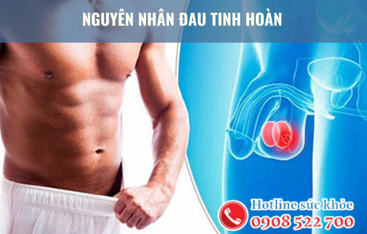 Nguyên nhân đau tinh hoàn phổ biến ở nam giới