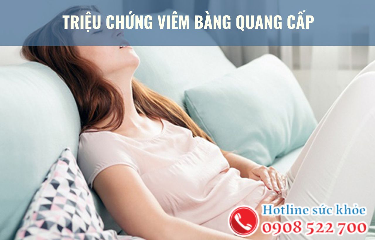 Triệu chứng viêm bàng quang cấp phổ biến bao gồm?