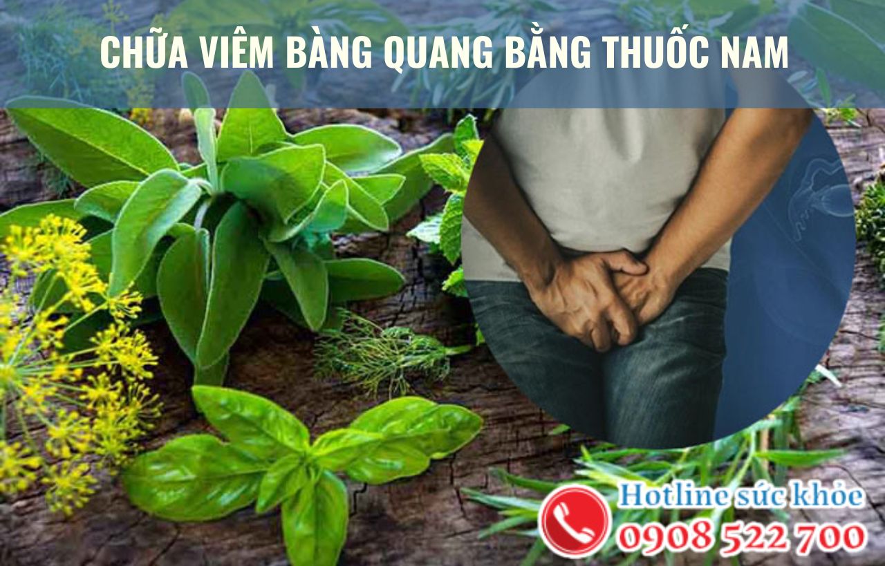 Chữa viêm bàng quang bằng thuốc nam như thế nào?