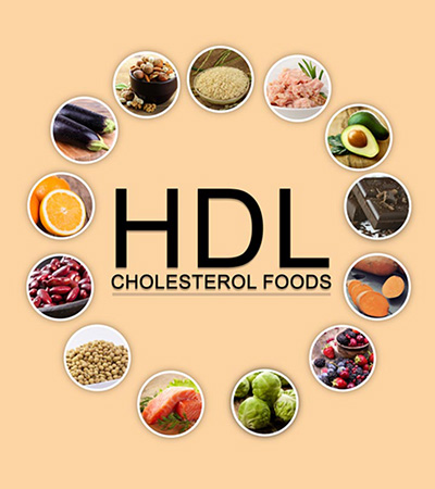 Tác dụng thần kỳ của HDL – Cholesterol