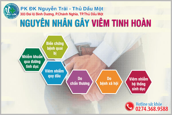 Tinh hoàn bị viêm