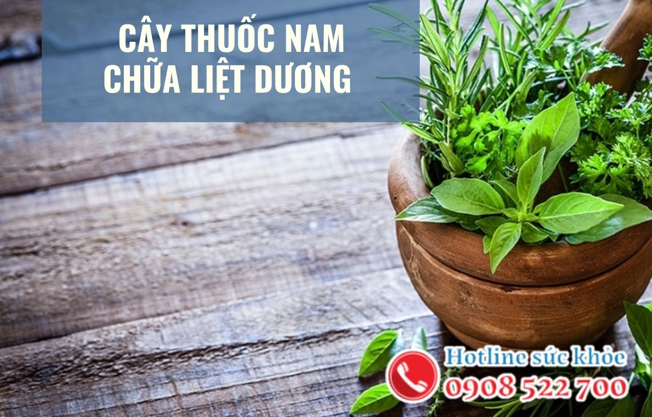 Cây thuốc nam chữa liệt dương có hiệu quả?