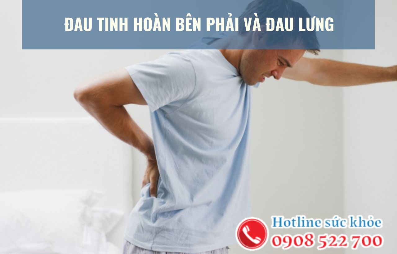 Đau tinh hoàn bên phải và đau lưng có ảnh hưởng đến sinh lý nam giới?