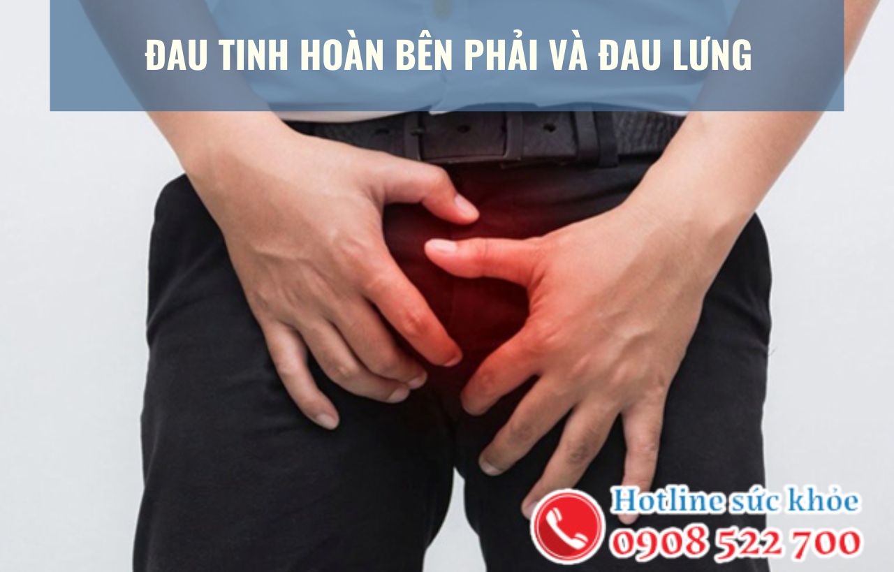 Đau tinh hoàn bên phải và đau lưng có ảnh hưởng đến sinh lý nam giới?