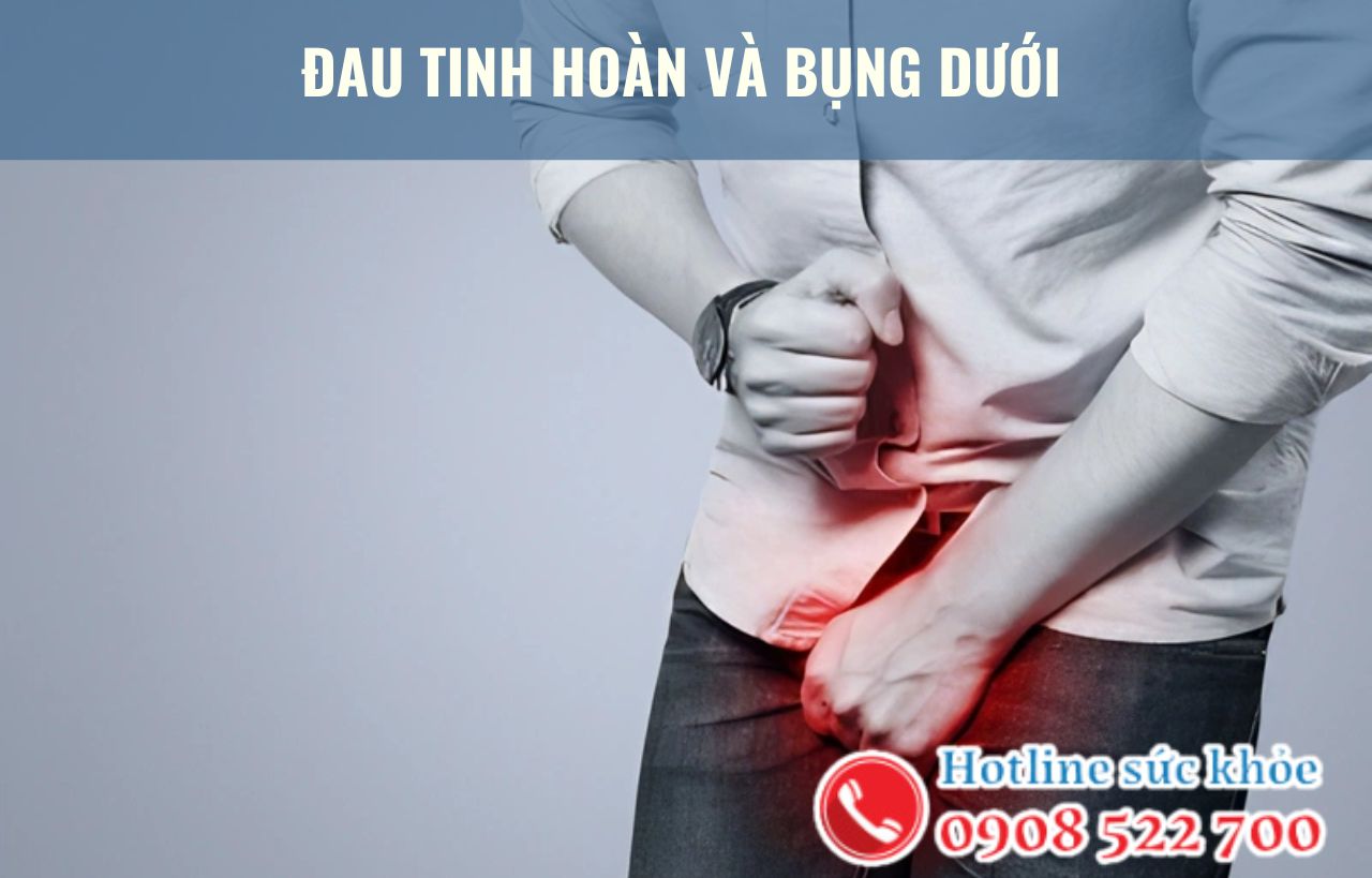 Đau tinh hoàn và bụng dưới có nguy hiểm không?