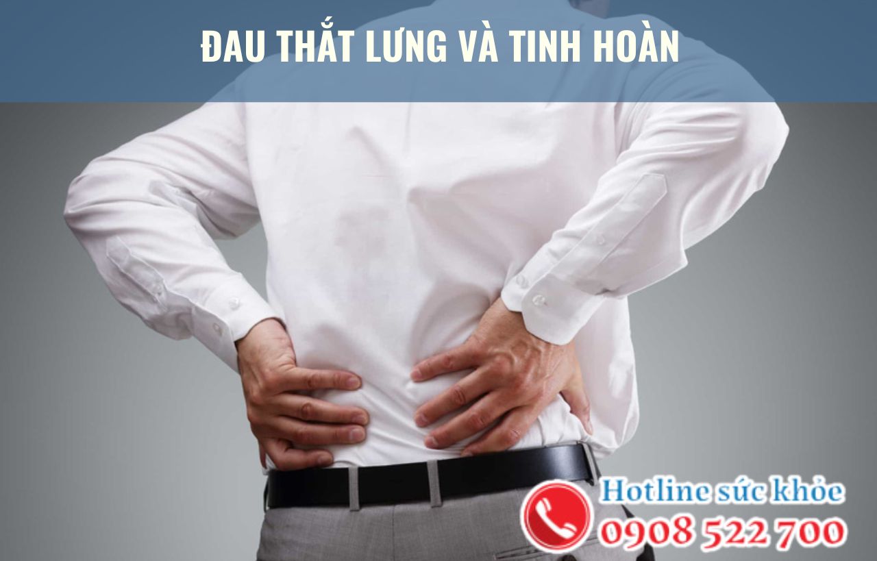 Đau thắt lưng và tinh hoàn là bệnh gì?