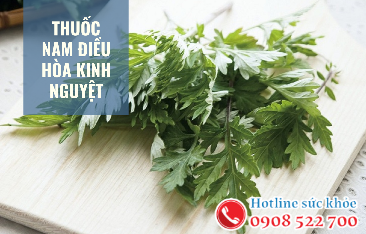 Thuốc nam điều hòa kinh nguyệt gồm những loại nào?