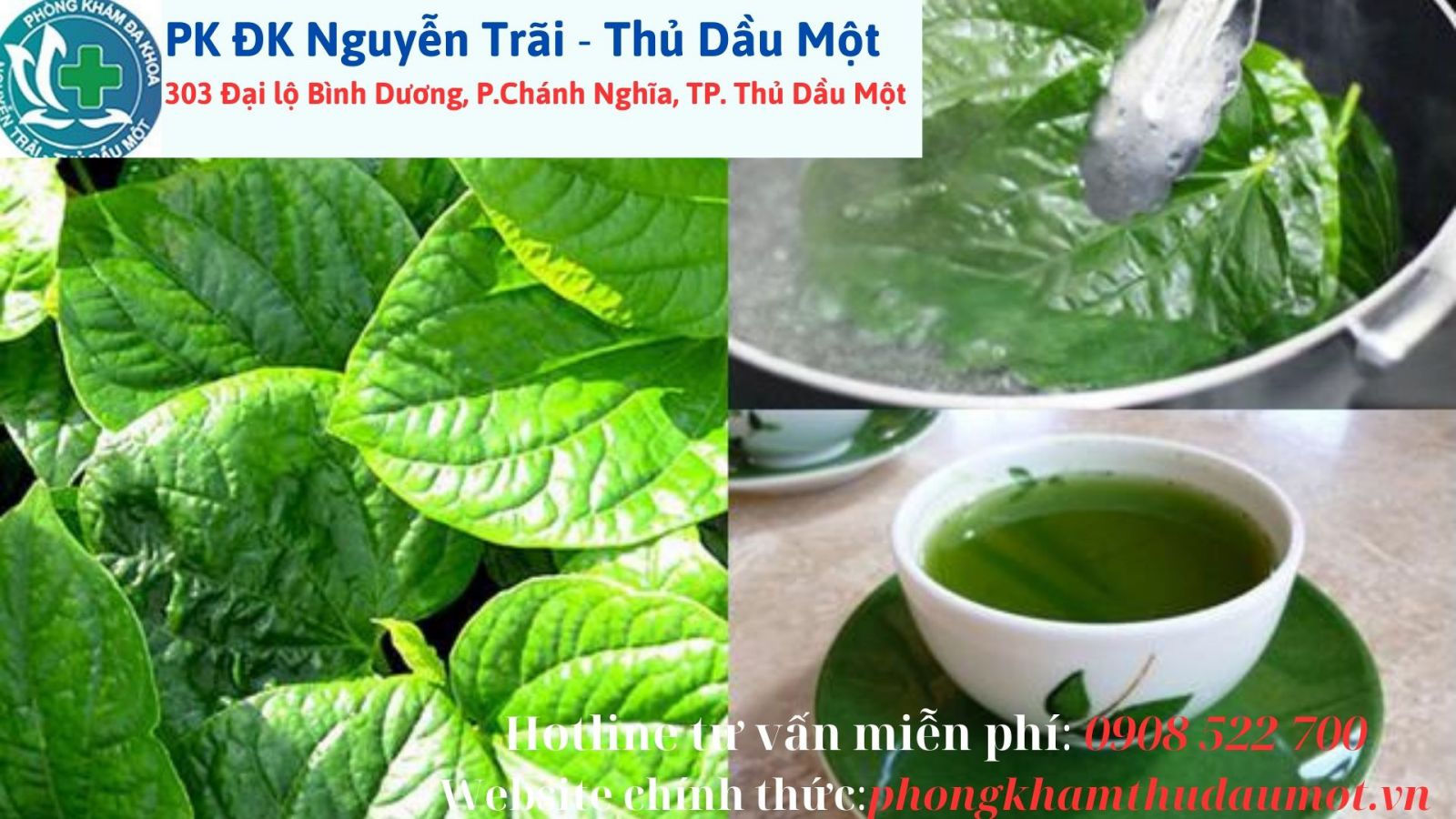 Uống nước sắc lá lốt nguyên chất