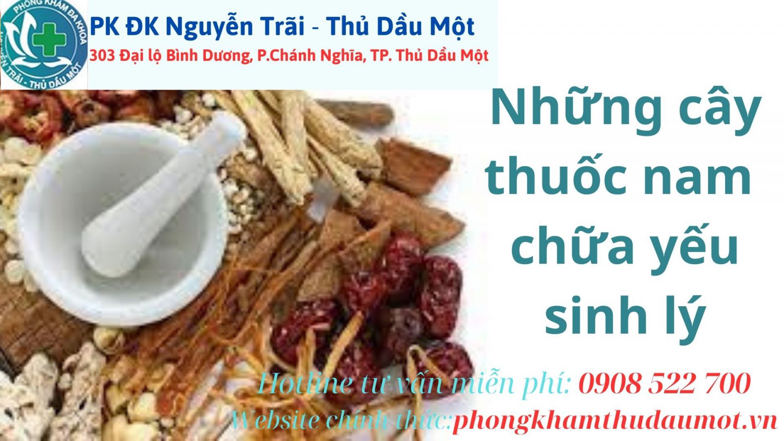 Những cây thuốc nam chữa yếu sinh lý có mang lại hiệu quả cao?