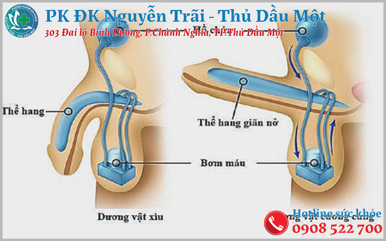 Làm thế nào để điều chỉnh phản xạ xuất tinh sớm hiệu quả?