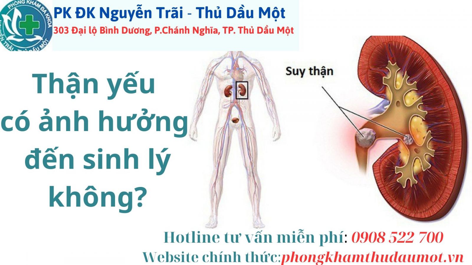 Thận yếu có ảnh hưởng đến sinh lý không?