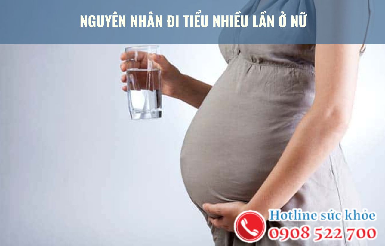 Nguyên nhân đi tiểu nhiều lần ở nữ bao gồm?