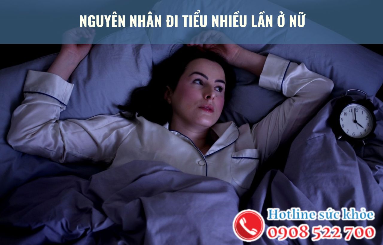 Nguyên nhân đi tiểu nhiều lần ở nữ bao gồm?