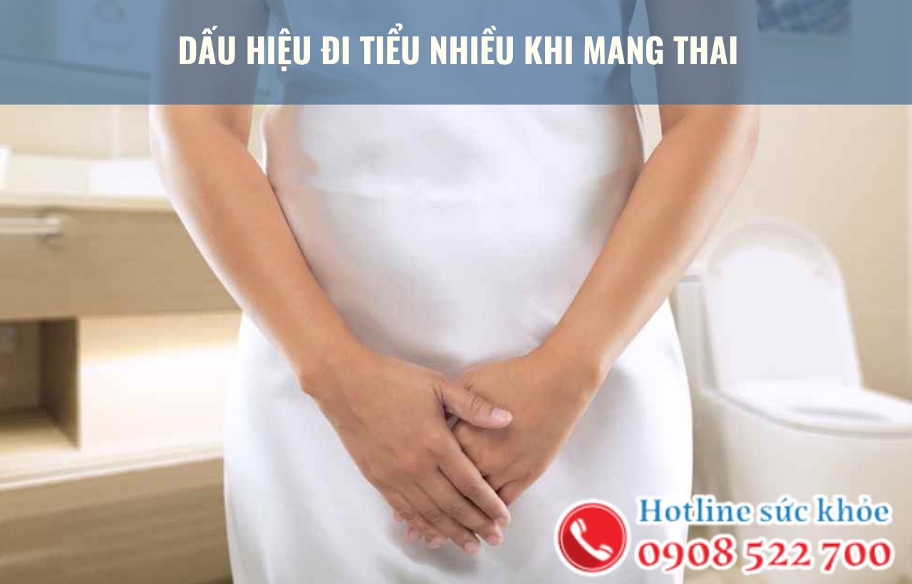 Dấu hiệu đi tiểu nhiều khi mang thai có nguy hiểm không?