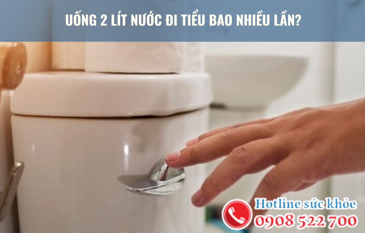 Uống 2 lít nước đi tiểu bao nhiêu lần?