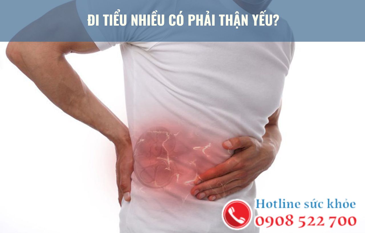 Đi tiểu nhiều có phải thận yếu hay không?