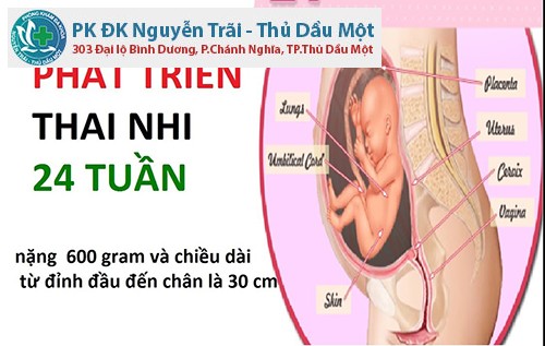 Thai 24 tuần mẹ cần chú ý giữ cho tinh thần thoải mái
