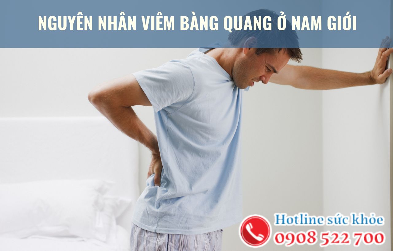 Nguyên nhân viêm bàng quang ở nam giới xuất phát từ đâu?