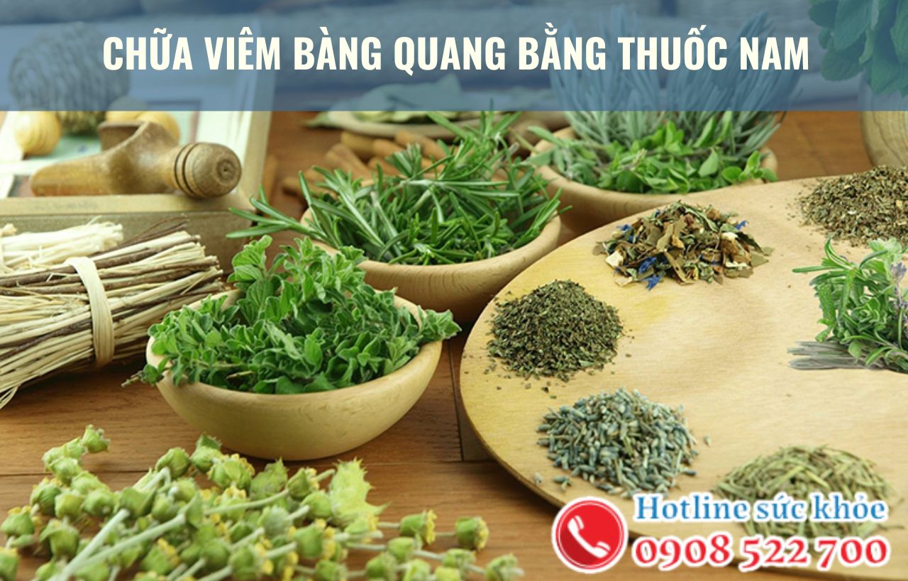 Chữa viêm bàng quang bằng thuốc nam như thế nào?