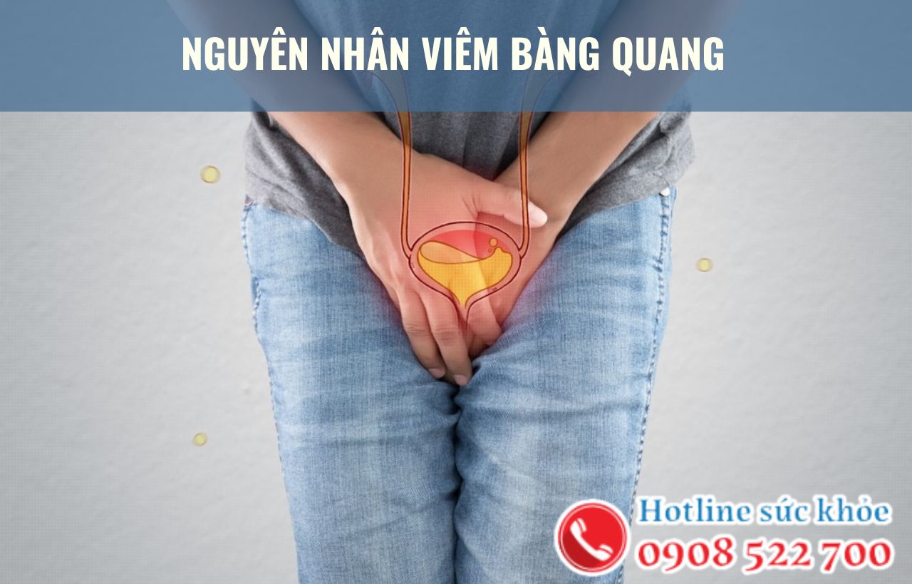 Nguyên nhân viêm bàng quang chủ yếu gây ra bởi yếu tố nào?