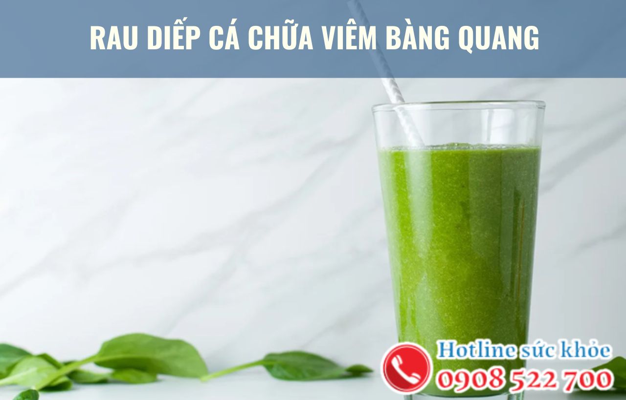 Rau diếp cá chữa viêm bàng quang có hiệu quả?