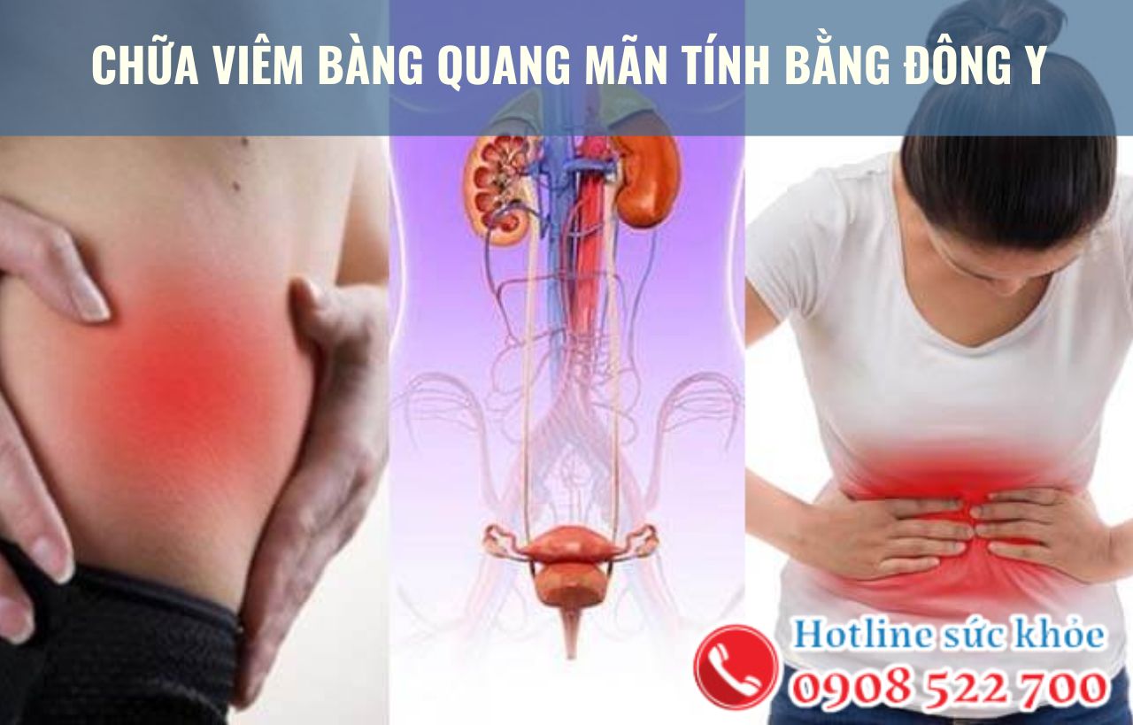 Chữa viêm bàng quang mãn tính bằng Đông y như thế nào?