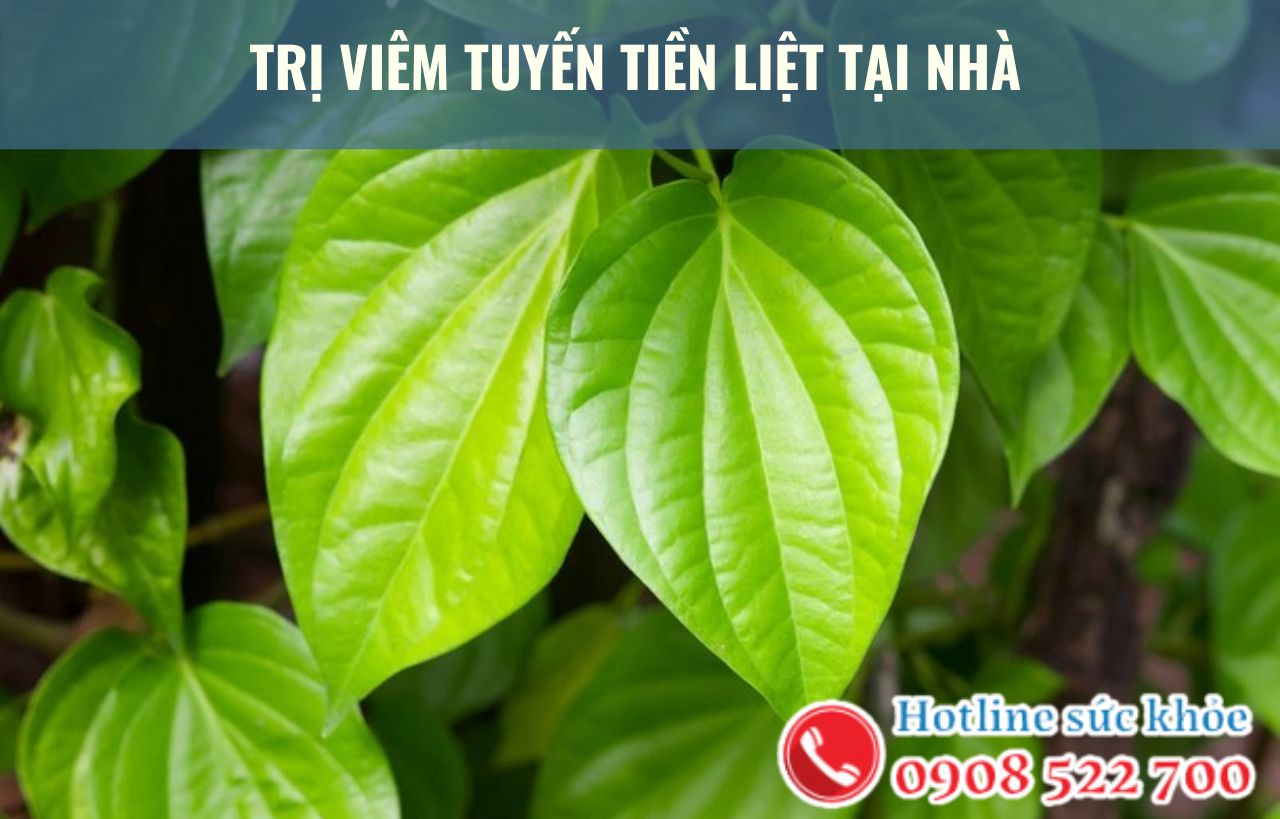 Trị viêm tuyến tiền liệt tại nhà bằng thảo dược