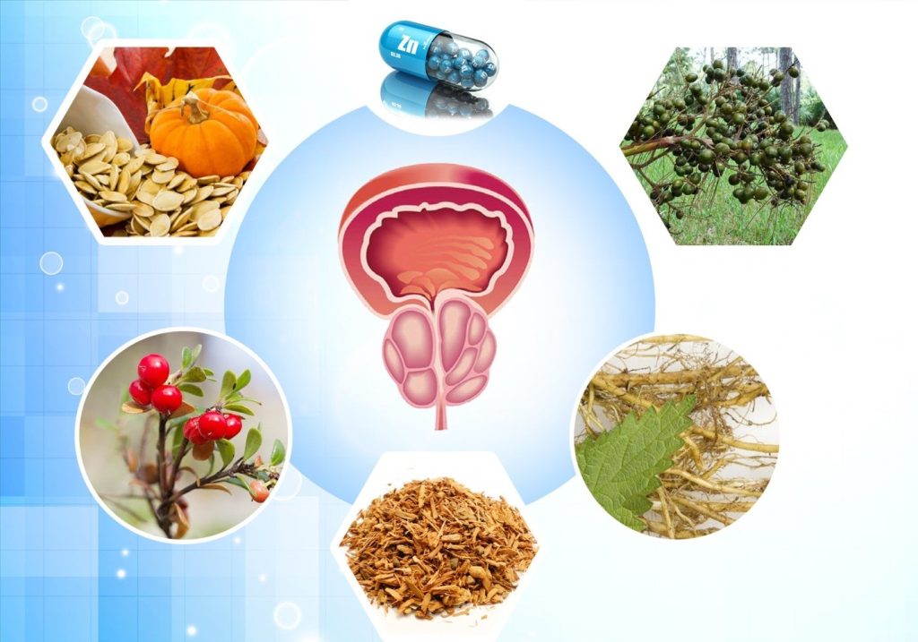 Thông tin chi tiết về u xơ tuyến tiền liệt nên ăn gì