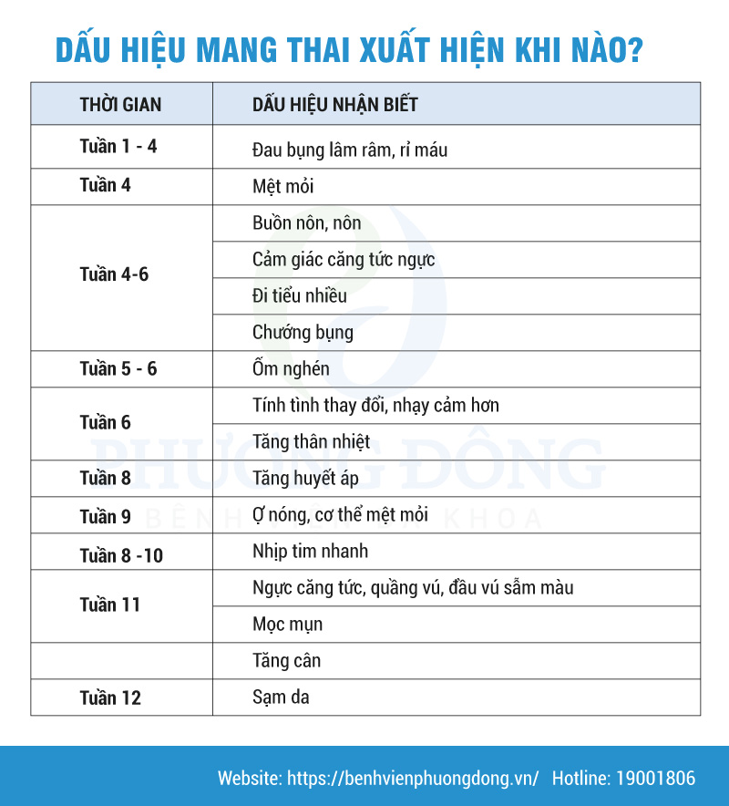 Hình ảnh minh họa dấu hiệu có thai sau 2 tuần