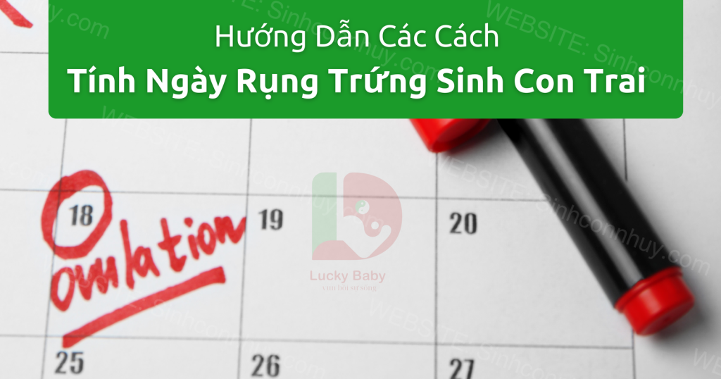 Thông tin chi tiết về cách tính ngày rụng trứng