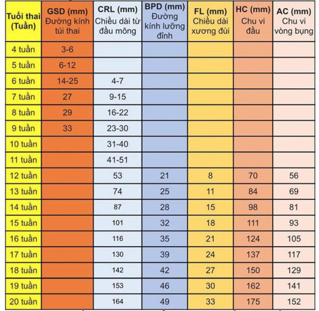 Thông tin chi tiết về thai nhi 11 tuần tuổi