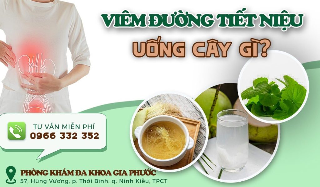 thuốc niệu bảo bình dương
