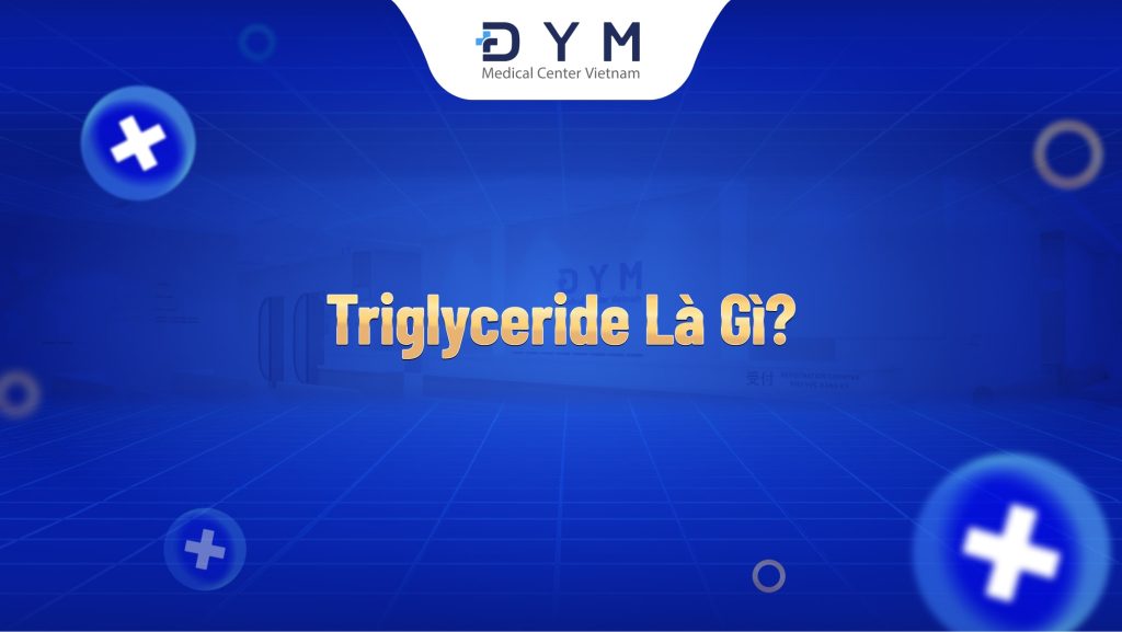 Hình ảnh minh họa chỉ số triglyceride