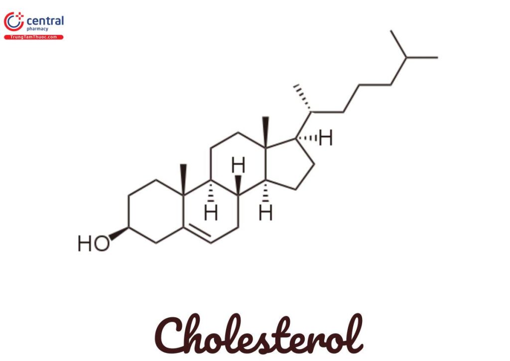Hình ảnh minh họa tác dụng hdl cholesterol