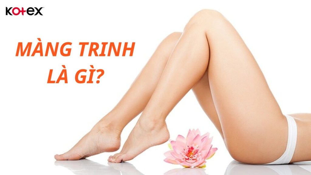 các loại màng trinh