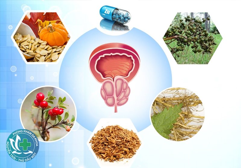 bao quy đầu dài - Bảng phân biệt bao quy đầu dài và hẹp bao quy đầu bao quy đầu dài - Bảng phân biệt bao quy đầu dài và hẹp bao quy đầu