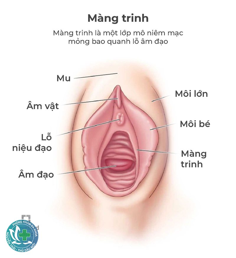 khám phụ khoa ở Bình Dương - Đội ngũ bác sĩ chuyên môn và kinh nghiệm khám phụ khoa ở Bình Dương - Đội ngũ bác sĩ chuyên môn và kinh nghiệm
