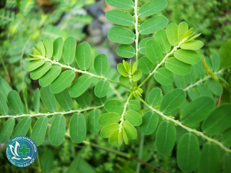 phá thai có ảnh hưởng gì không - Trường hợp có nguy cơ ảnh hưởng lâu dài phá thai có ảnh hưởng gì không - Trường hợp có nguy cơ ảnh hưởng lâu dài