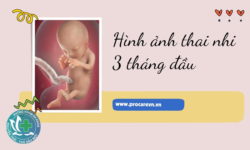 phá thai có phải nhịn ăn không phá thai có phải nhịn ăn không