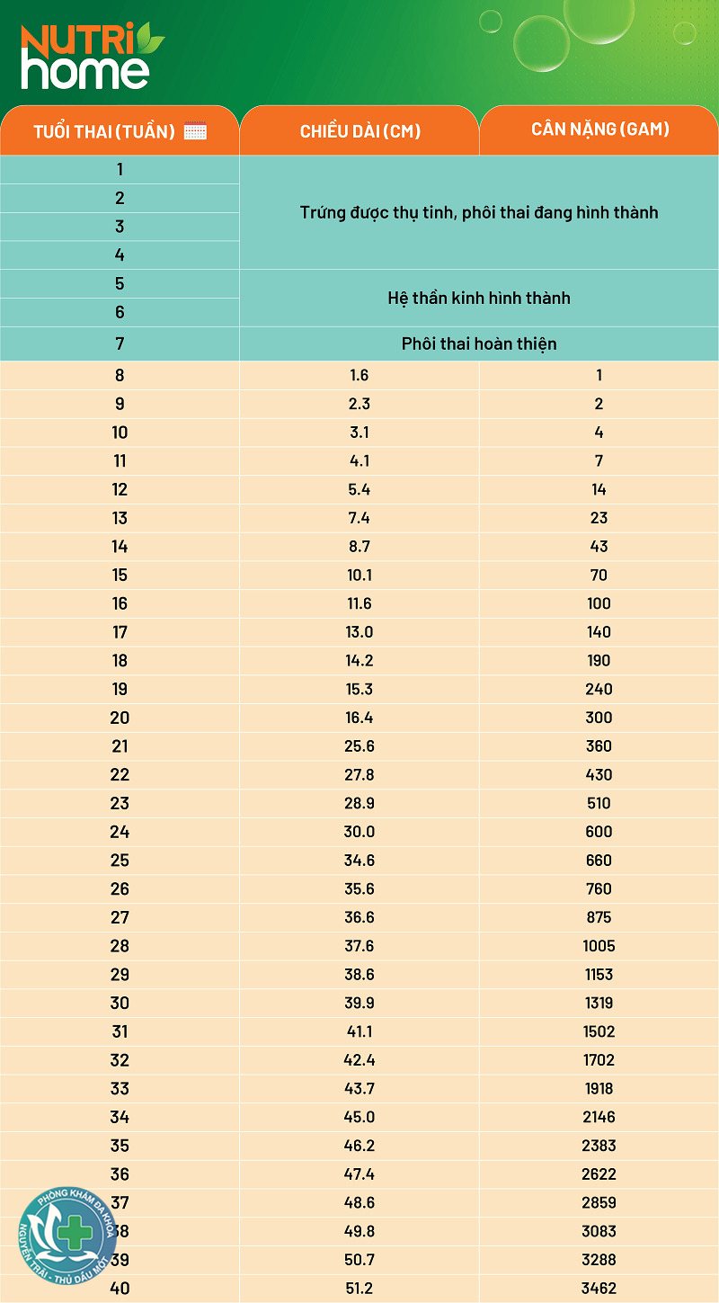 rối loạn kinh nguyệt uống thuốc gì