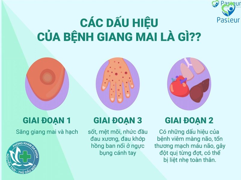 sùi mào gà ở nữ - Nốt sùi nhỏ ở vùng kín sùi mào gà ở nữ - Nốt sùi nhỏ ở vùng kín