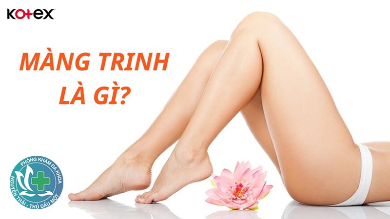 viêm phụ khoa uống thuốc gì - Bảng các nhóm thuốc điều trị theo nguyên nhân