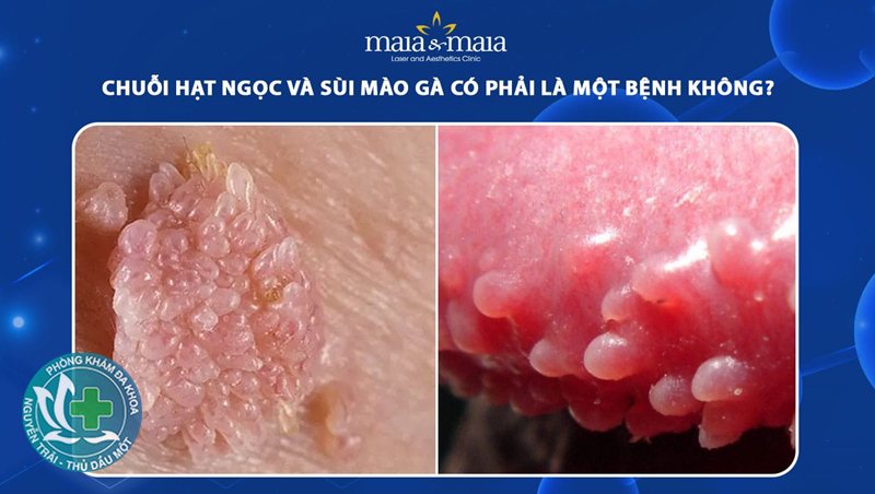 xét nghiệm bệnh xã hội ở Bình Dương - Sự kín đáo và riêng tư trong quá trình thực hiện xét nghiệm bệnh xã hội ở Bình Dương - Sự kín đáo và riêng tư trong quá trình thực hiện