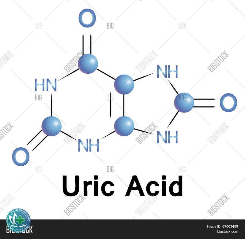 Acid uric - Acid uric thấp có đáng lo không? Acid uric - Acid uric thấp có đáng lo không?
