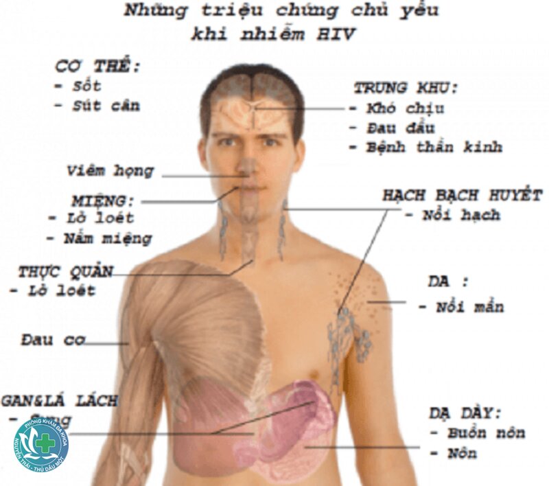 Dấu hiệu HIV - Các loại xét nghiệm thường dùng Dấu hiệu HIV - Các loại xét nghiệm thường dùng