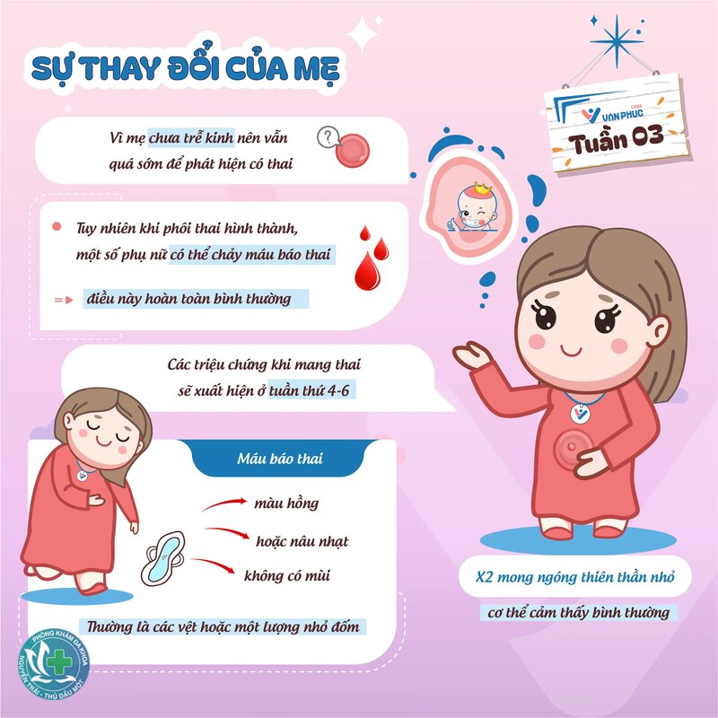 dấu hiệu mang thai tuần đầu - Tuần đầu sau thụ thai là một mốc khác hẳn dấu hiệu mang thai tuần đầu - Tuần đầu sau thụ thai là một mốc khác hẳn