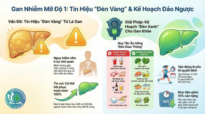 Gan nhiễm mỡ có nguy hiểm không - Ai cần được đánh giá sớm? Gan nhiễm mỡ có nguy hiểm không - Ai cần được đánh giá sớm?