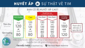 huyet ap cao 1